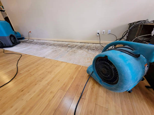 Professional Sewage Cleanup technician working in Winnsboro, SC
